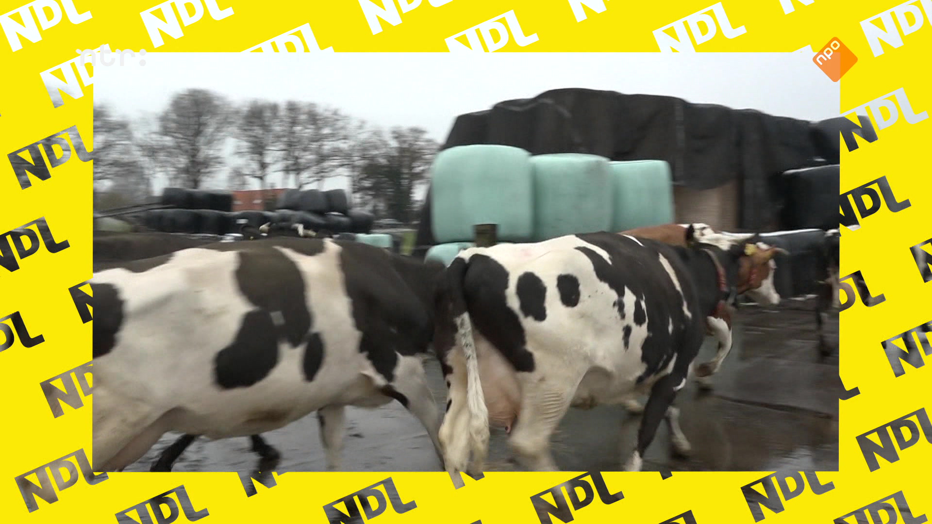 Natuur de Luxe | NATUUR DE LUXE