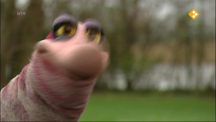 Koekeloere