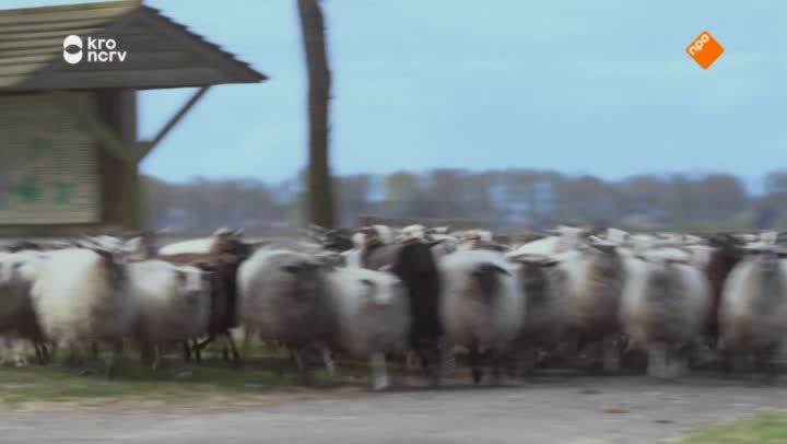 Kindertijd