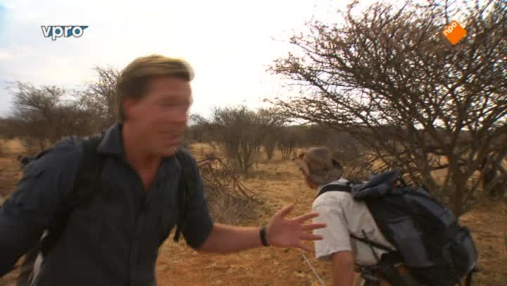 Freeks Wilde Wereld | Cheetah