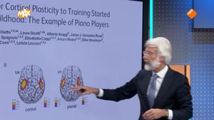Muziek en cognitieve ontwikkeling