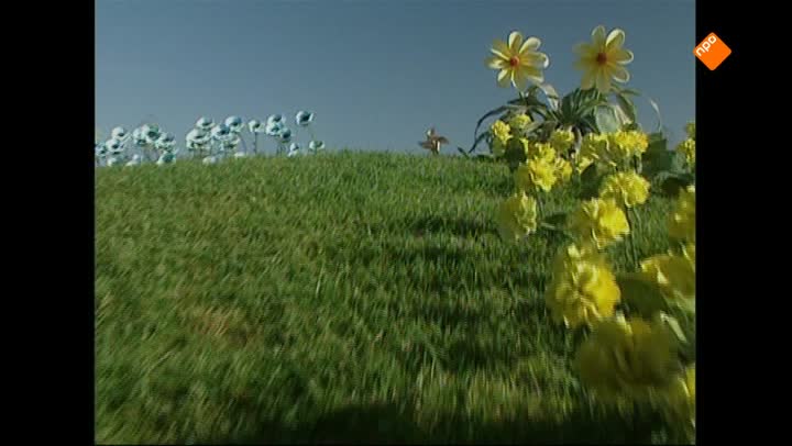 Teletubbies