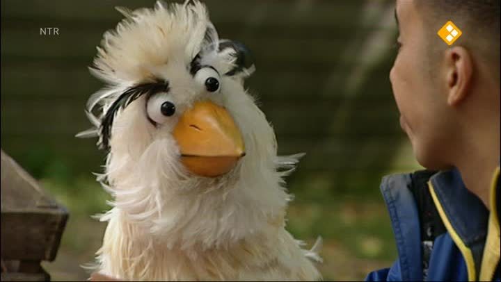 Huisje Boompje Beestje