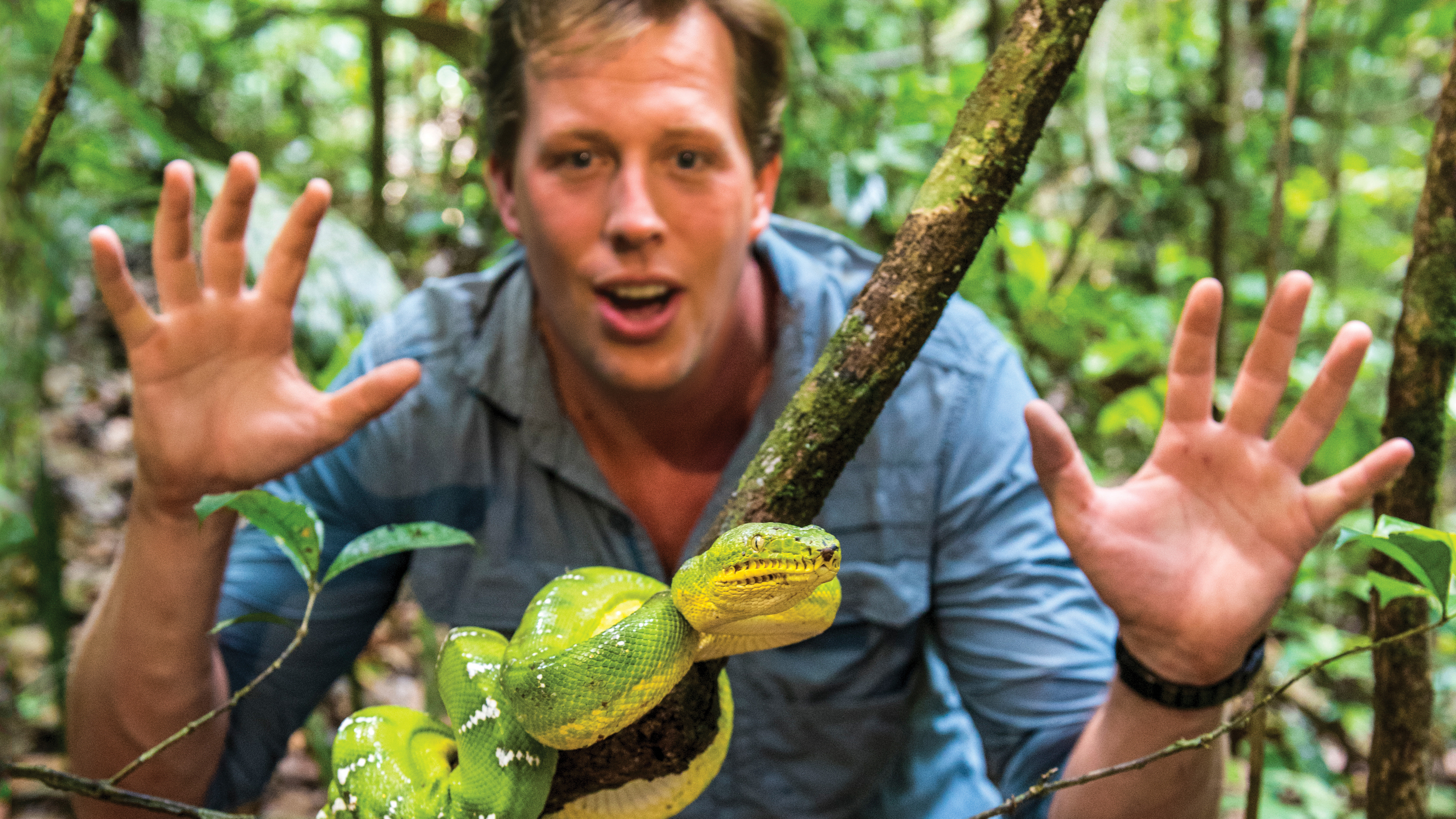 Freeks Wilde Wereld | Felgekleurde vriendjes