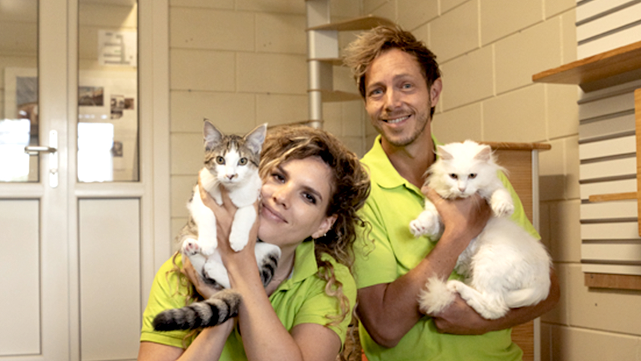 Strijd om de kattenafdeling