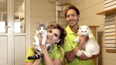 Strijd om de kattenafdeling