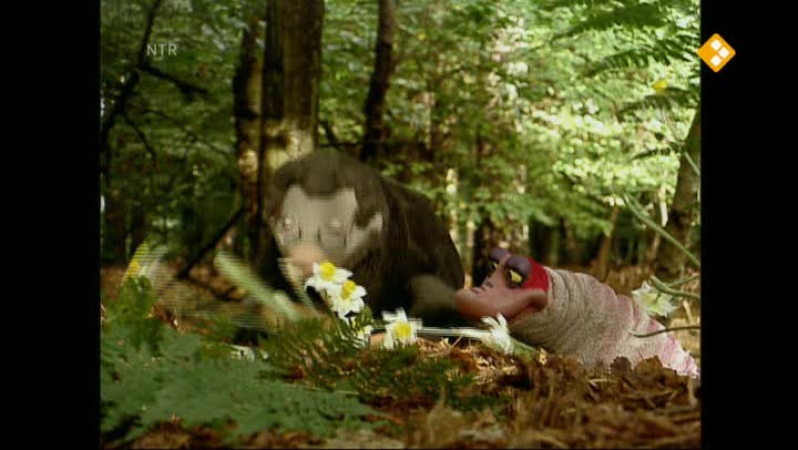 Koekeloere