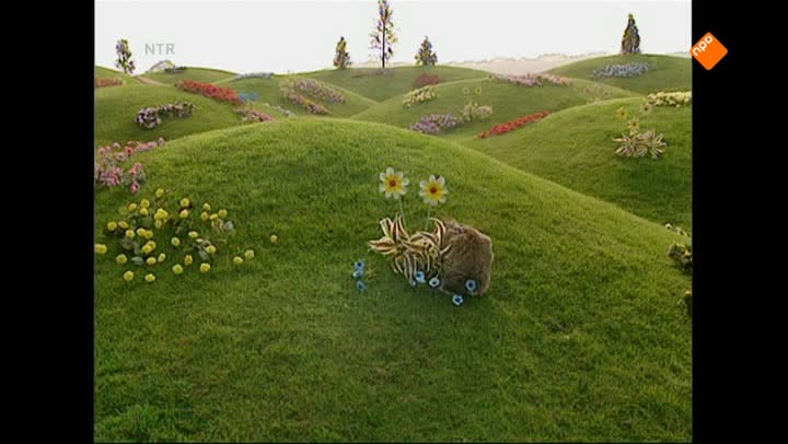 Teletubbies