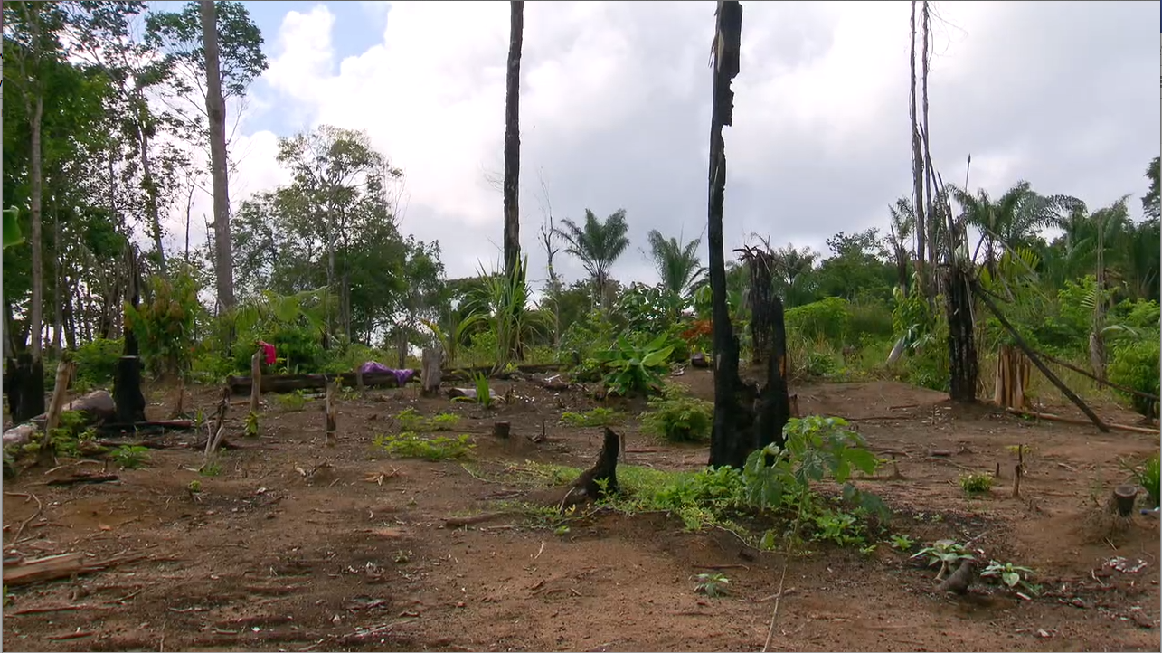 Aflevering 3: Expeditie Suriname