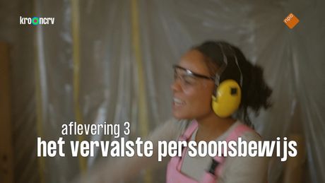 Oorlogsdetective