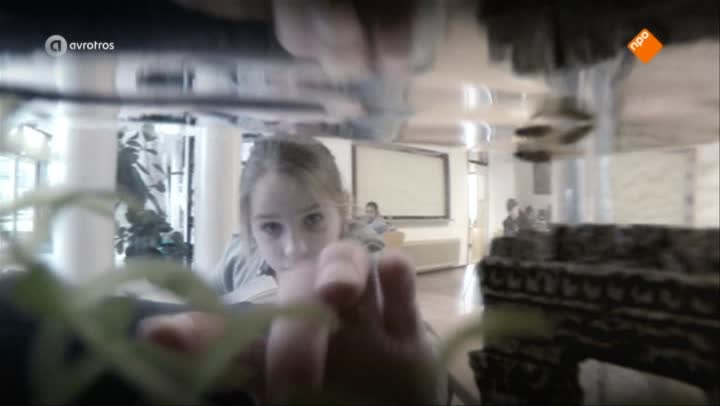 Zappsport | compilatie