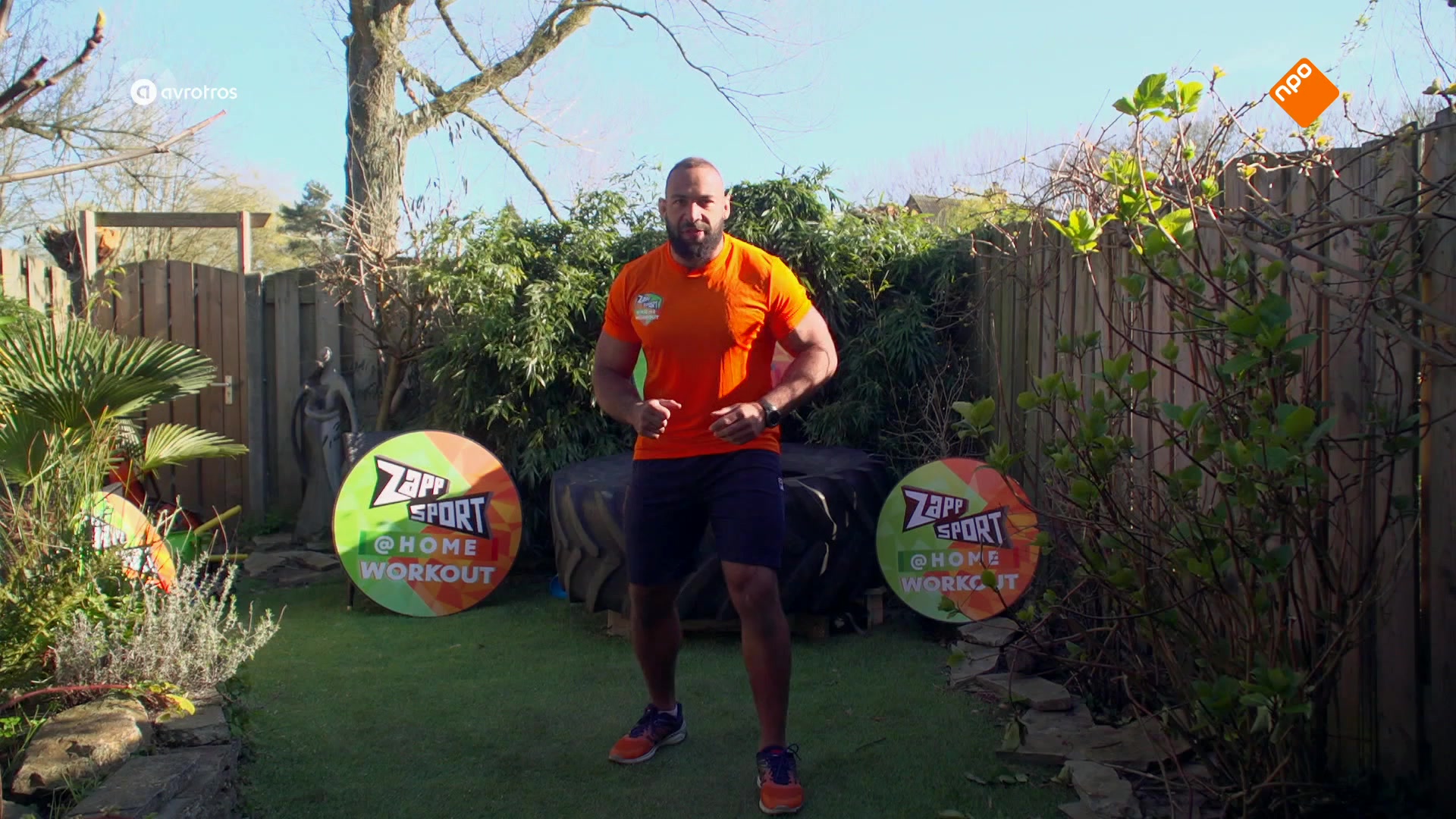 Zappsport@HOME - Workout