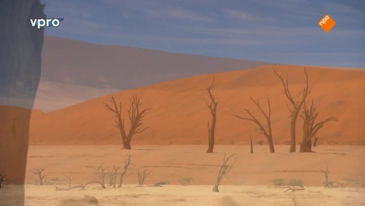 Freeks Wilde Wereld | Sossusvlei