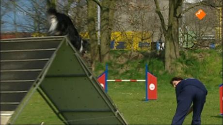 Het Klokhuis | Hondensport