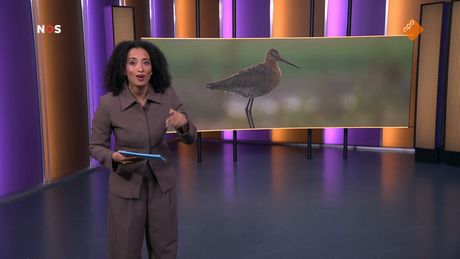 Het NOS Jeugdjournaal | NOS Jeugdjournaal