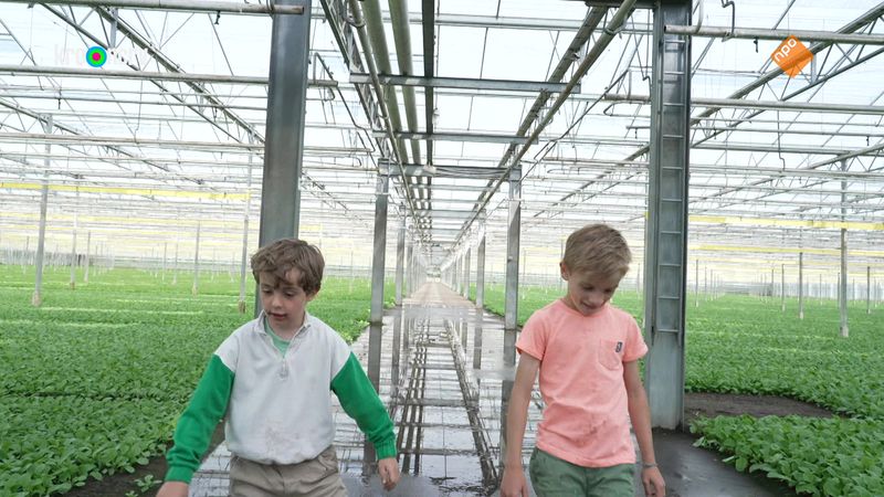 Kindertijd