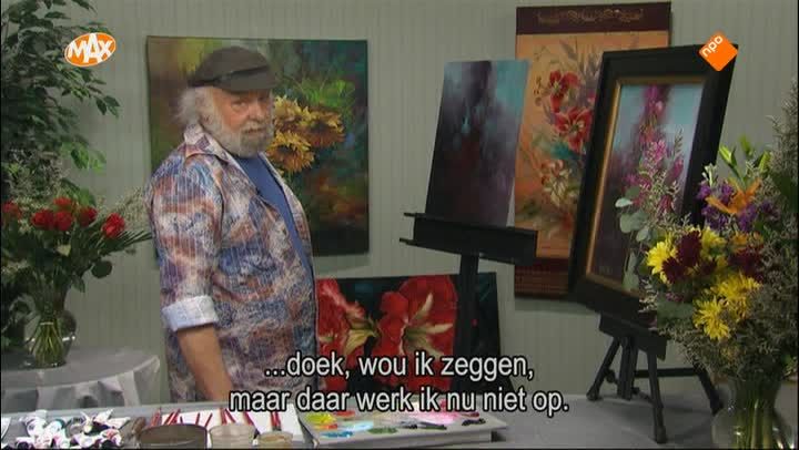 Fuchsia stokrozen