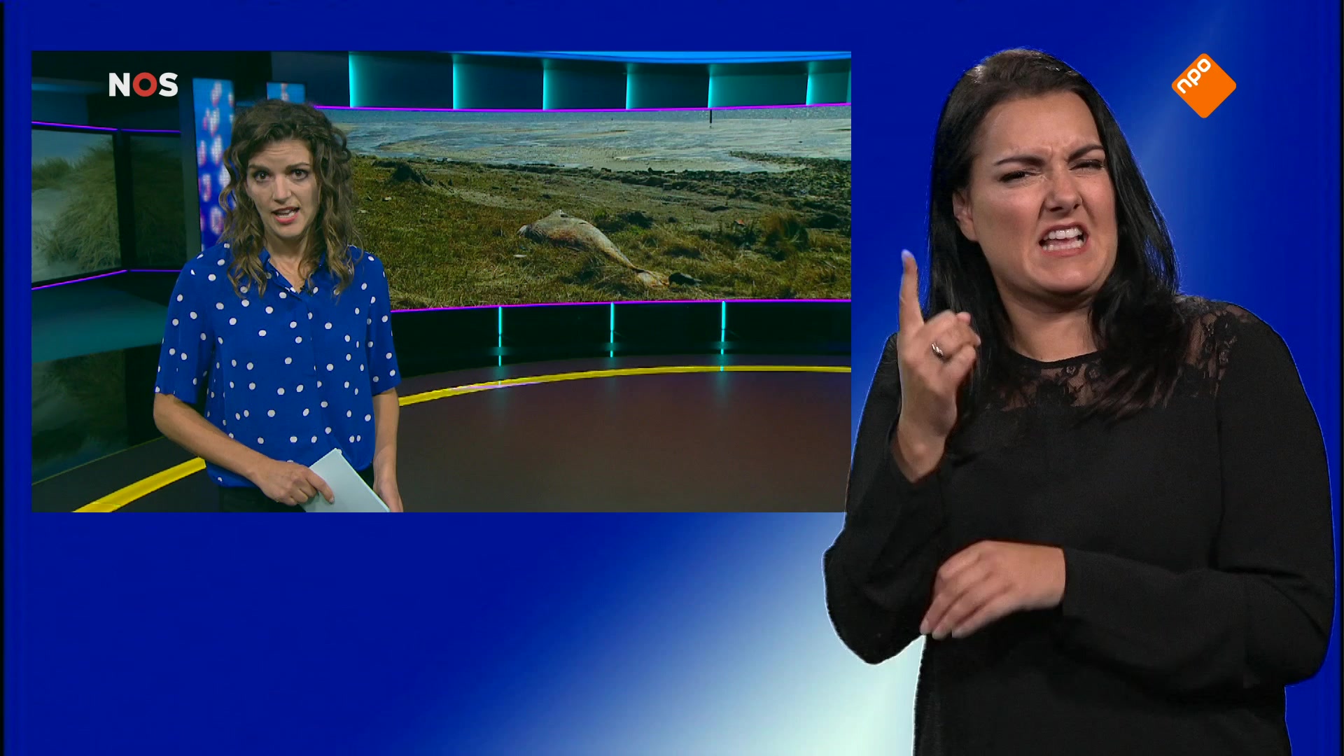 NOS Jeugdjournaal met gebarentolk