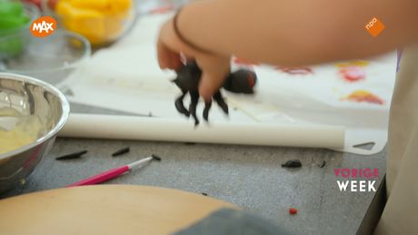 Heel Holland Bakt Kids | Geheim
