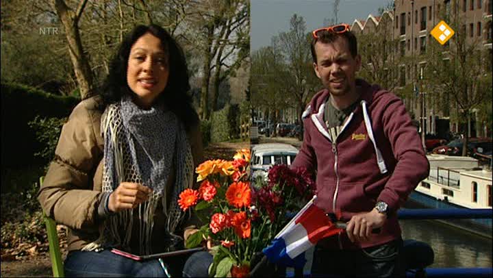 De Buitendienst  | Echte Bijen