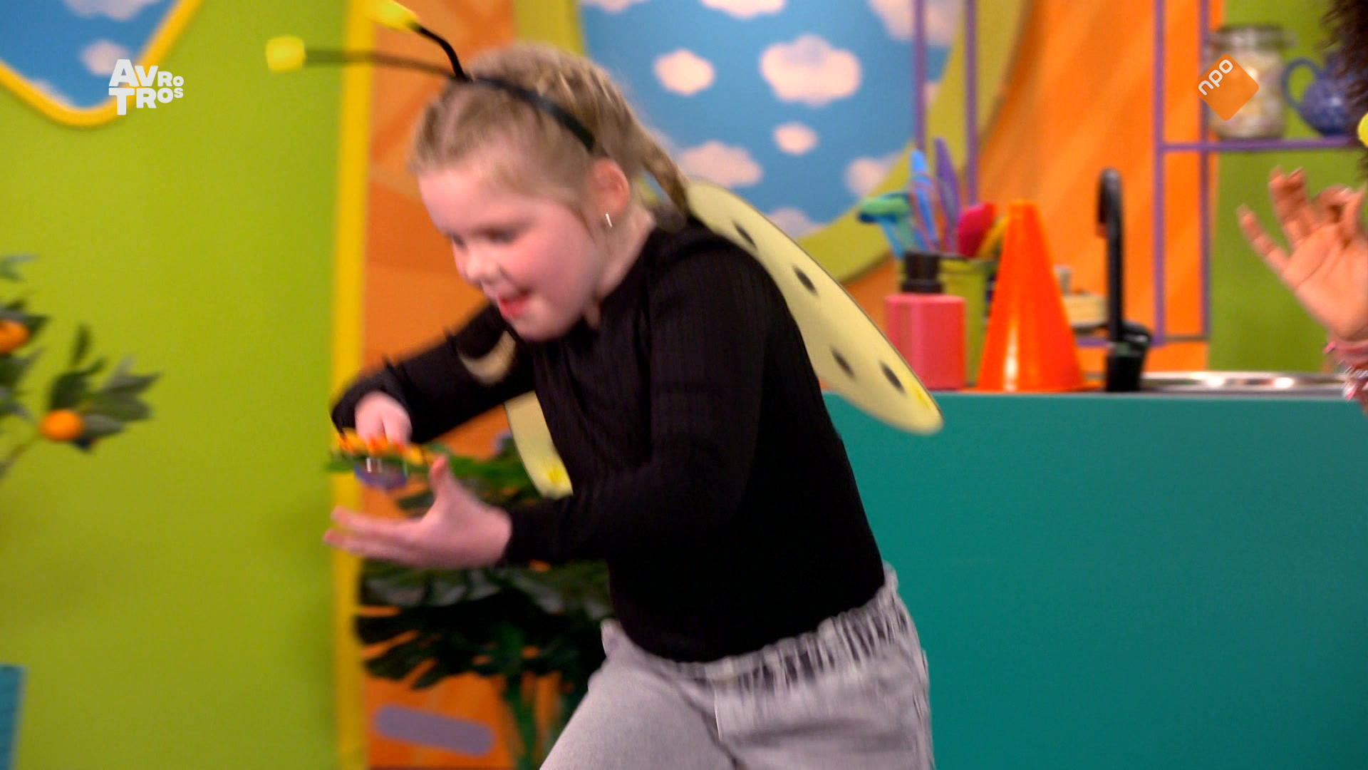 Zin in Zappelin