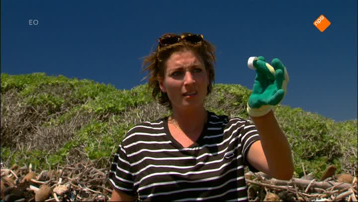 Zapp Your Planet: Expeditie Hawaii
