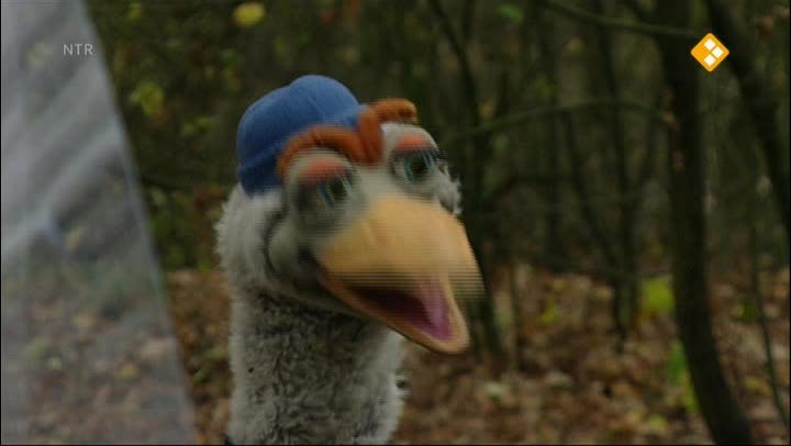 Koekeloere