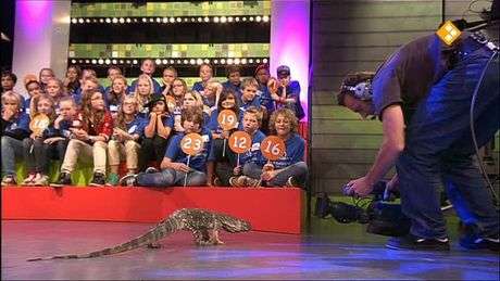 Zapplive | ZappLive