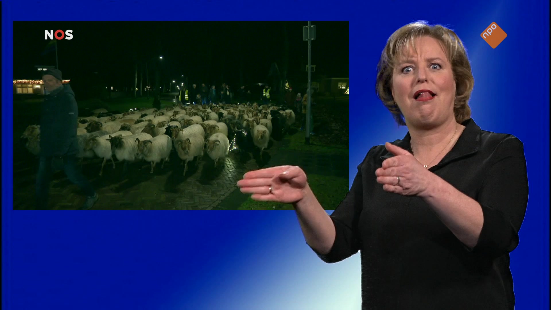 NOS Jeugdjournaal met gebarentolk