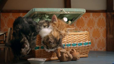 Poesjes | Betrapt