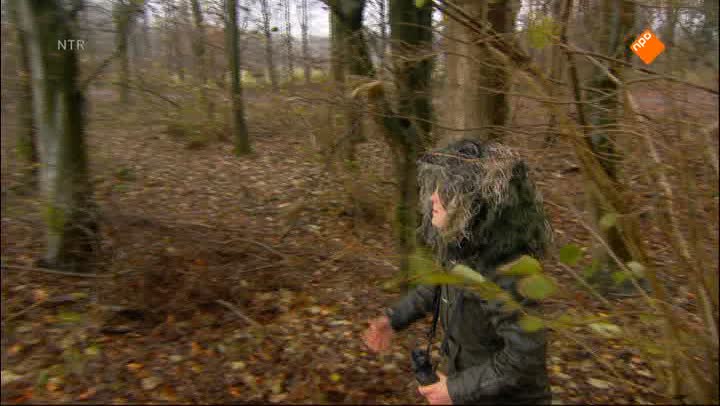 De Buitendienst  | Natuur temmen