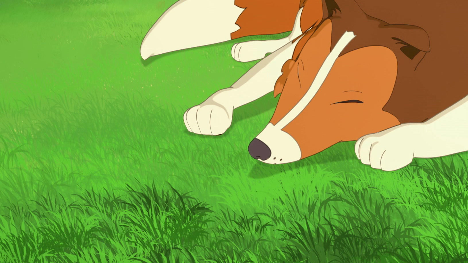 Lassie
