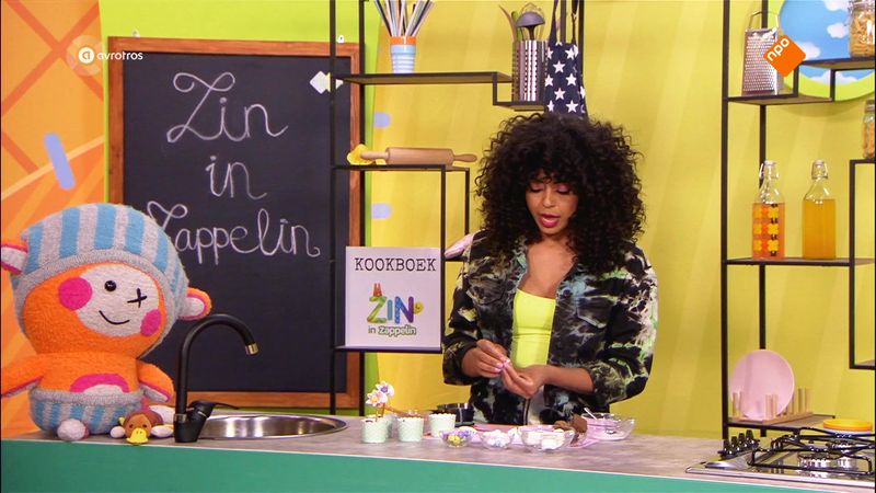 Zin in Zappelin