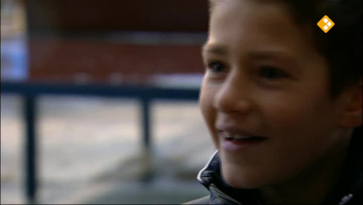 Heibel langs de Lijn | Heibel langs de lijn