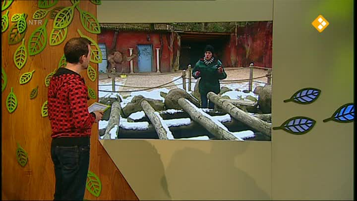 De Buitendienst  | Fossielen en dino's