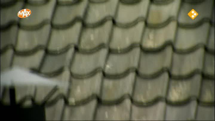 Marijke Helwegen