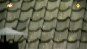 Marijke Helwegen