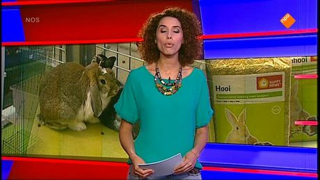Het NOS Jeugdjournaal | NOS Jeugdjournaal