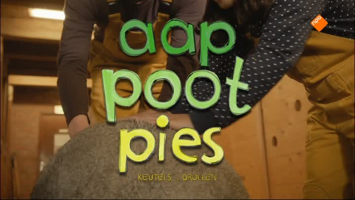 Aap Poot Pies