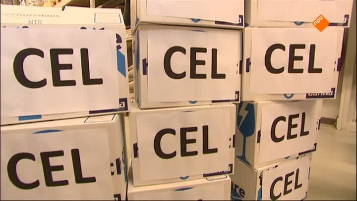 Het Klokhuis | Dierenvaccinatie