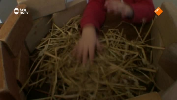 Kindertijd