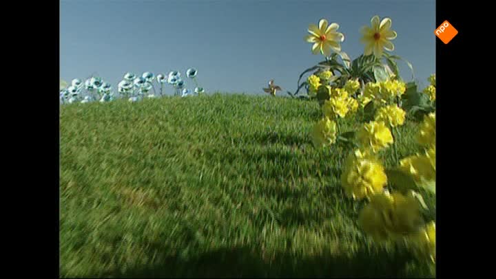 Teletubbies