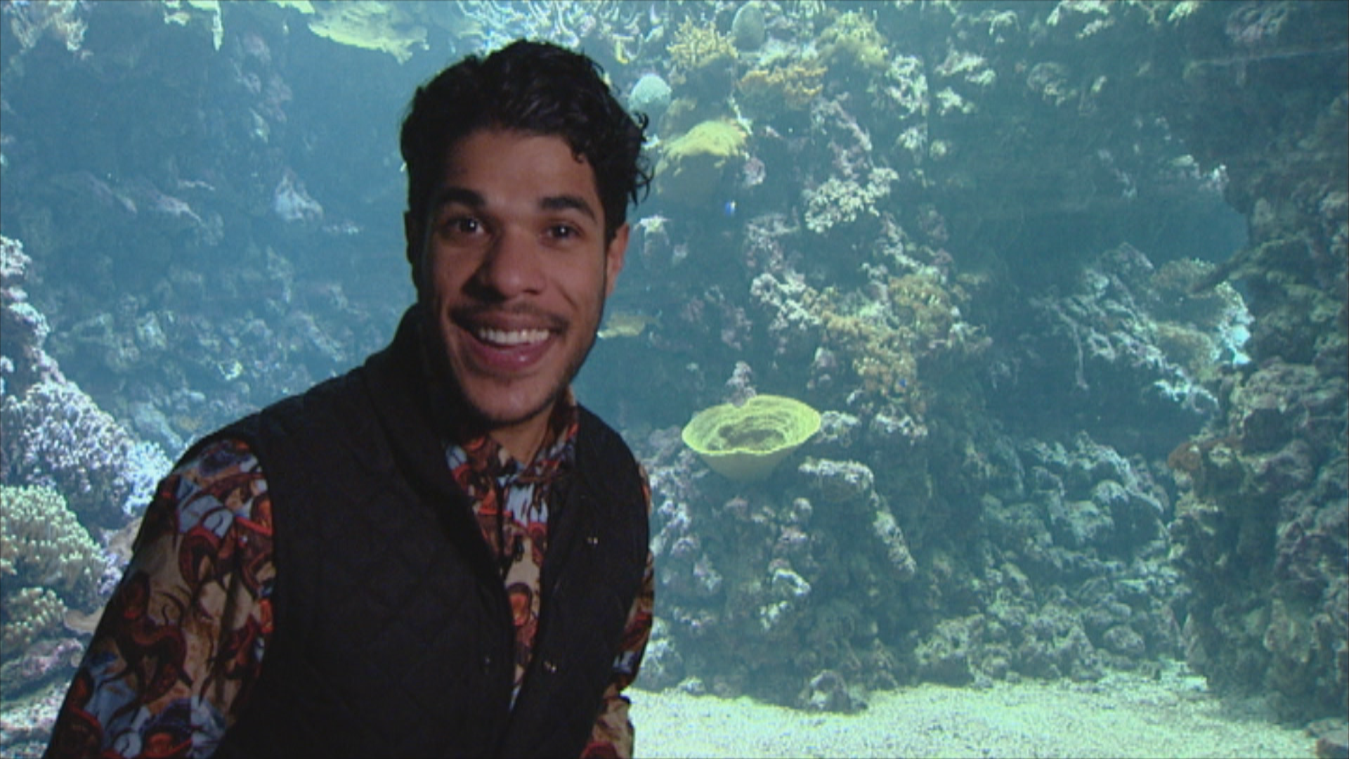 Het Klokhuis | Zeeaquarium