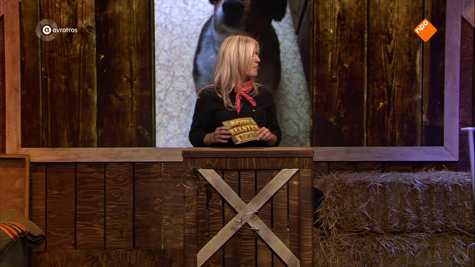 Dee van der Zeeuw & Buddy Vedder