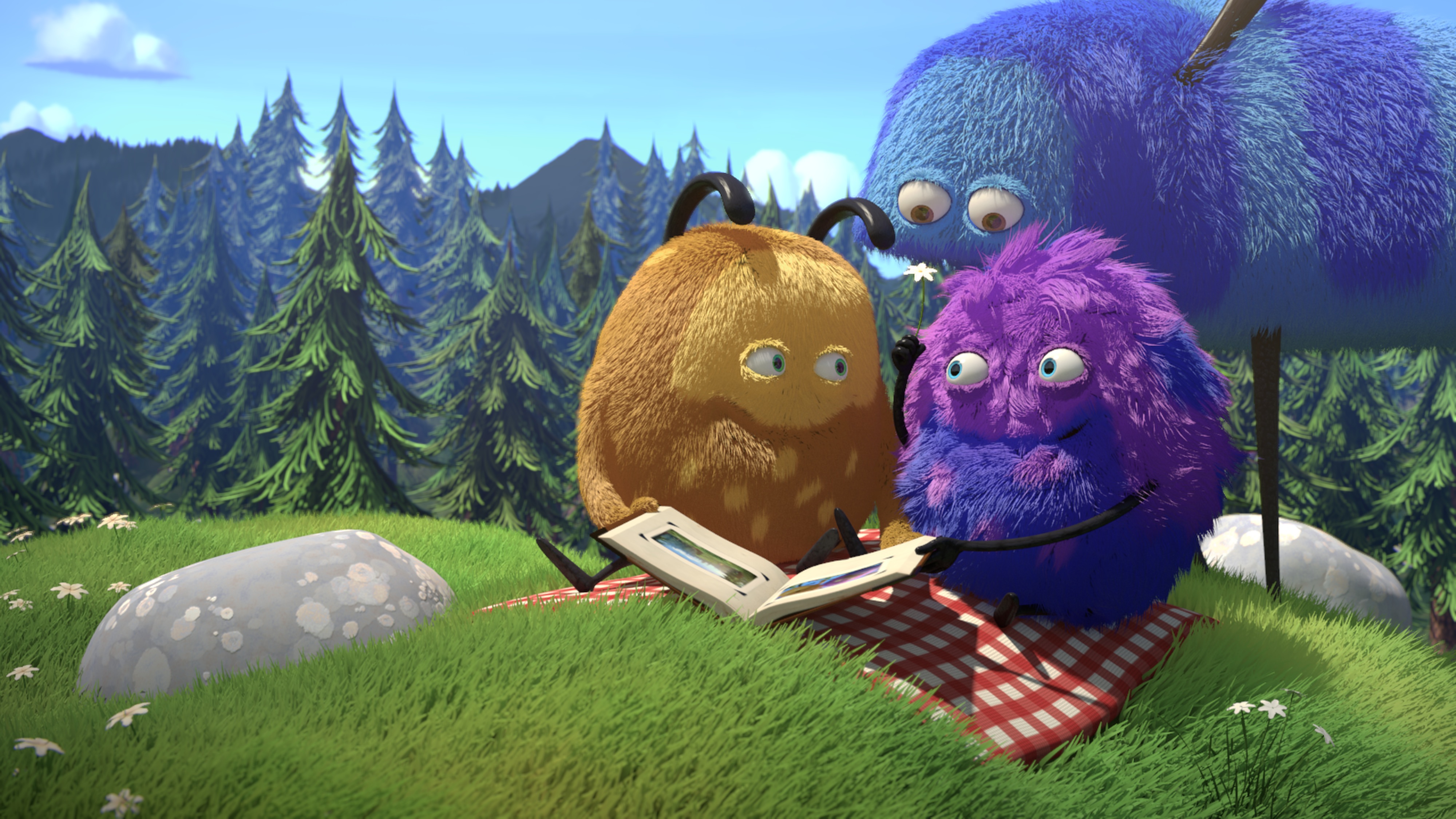 Kiwi & Strit
