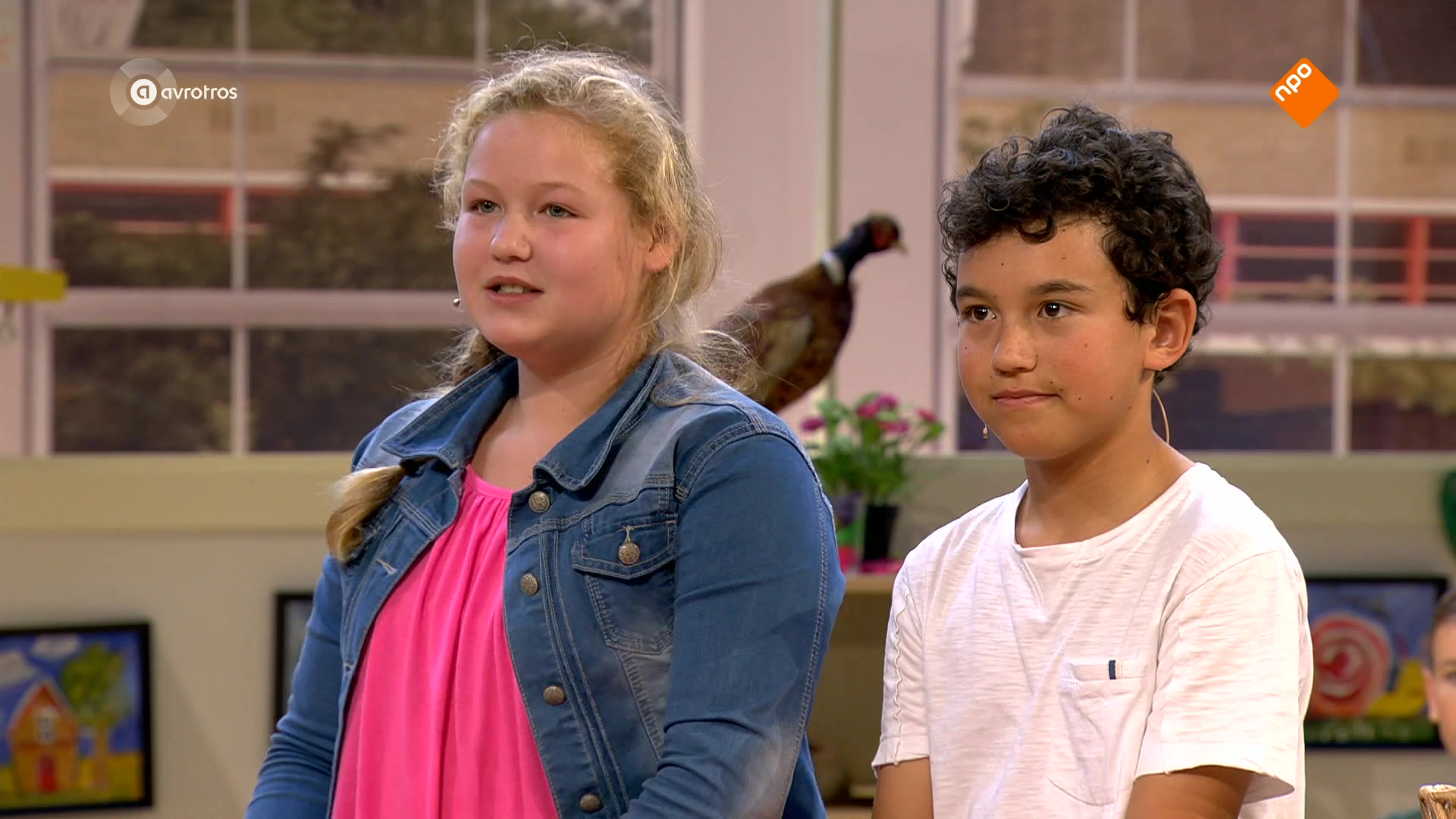 De Mees Kees Kwis