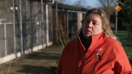 Het NOS Jeugdjournaal | NOS Jeugdjournaal