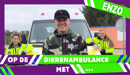 Op de dierenambulance met | Enzo Knol