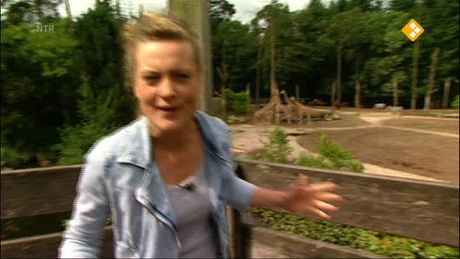 Het Klokhuis | Dierenoogarts