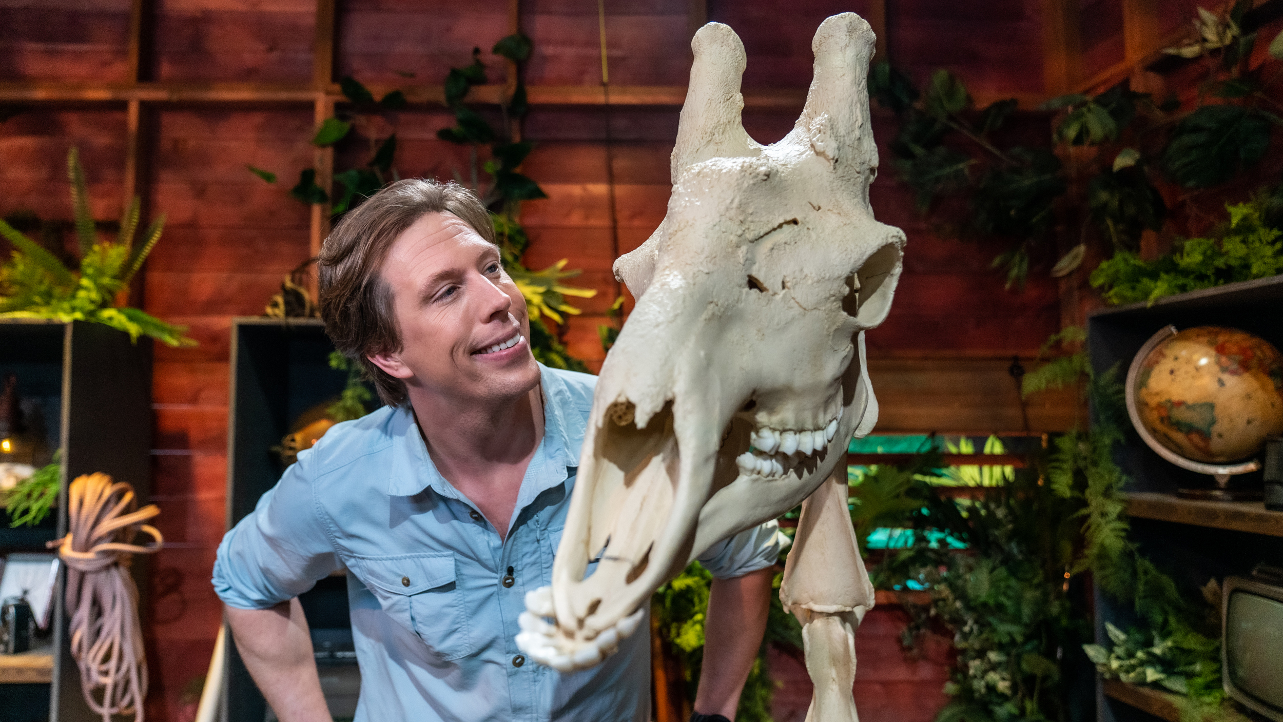 Freeks Jungle School | Giraffen